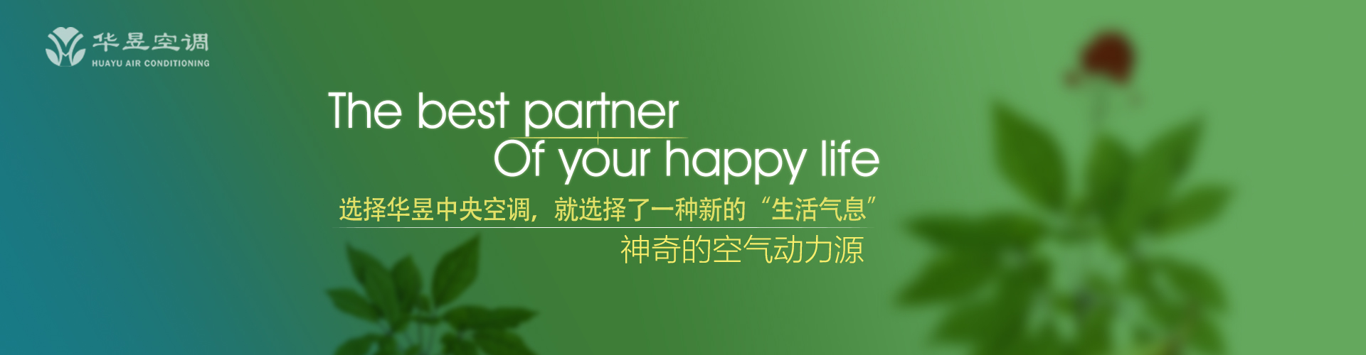 庄严宝相网